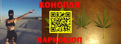 бошки Жуковский