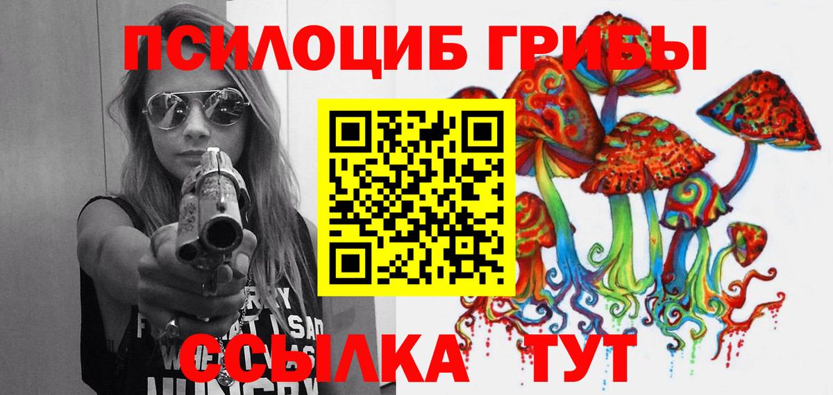 Псилоцибиновые грибы Cubensis  Вход с VPN  Канаш 
