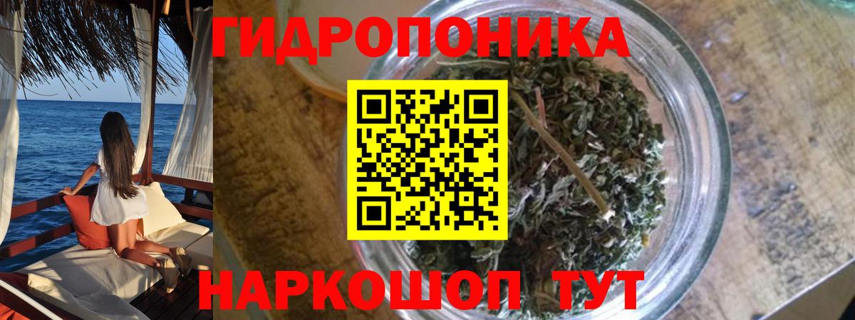 Бошки Шишки THC 21% Канаш